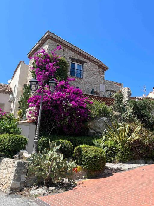 Moringa - New Unit For 2 Ac Close To Beach Antibes Luaran gambar